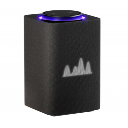 Умная колонка Яндекс.Станция Макс с Zigbee, 65Вт, графит
